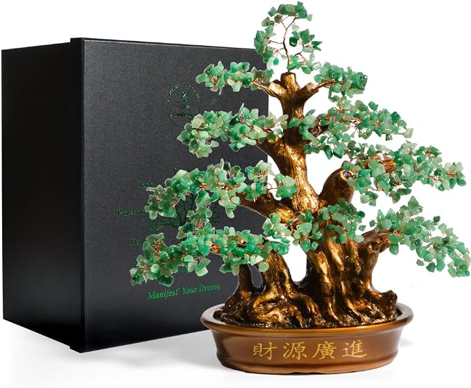 Bonsai de Venturina